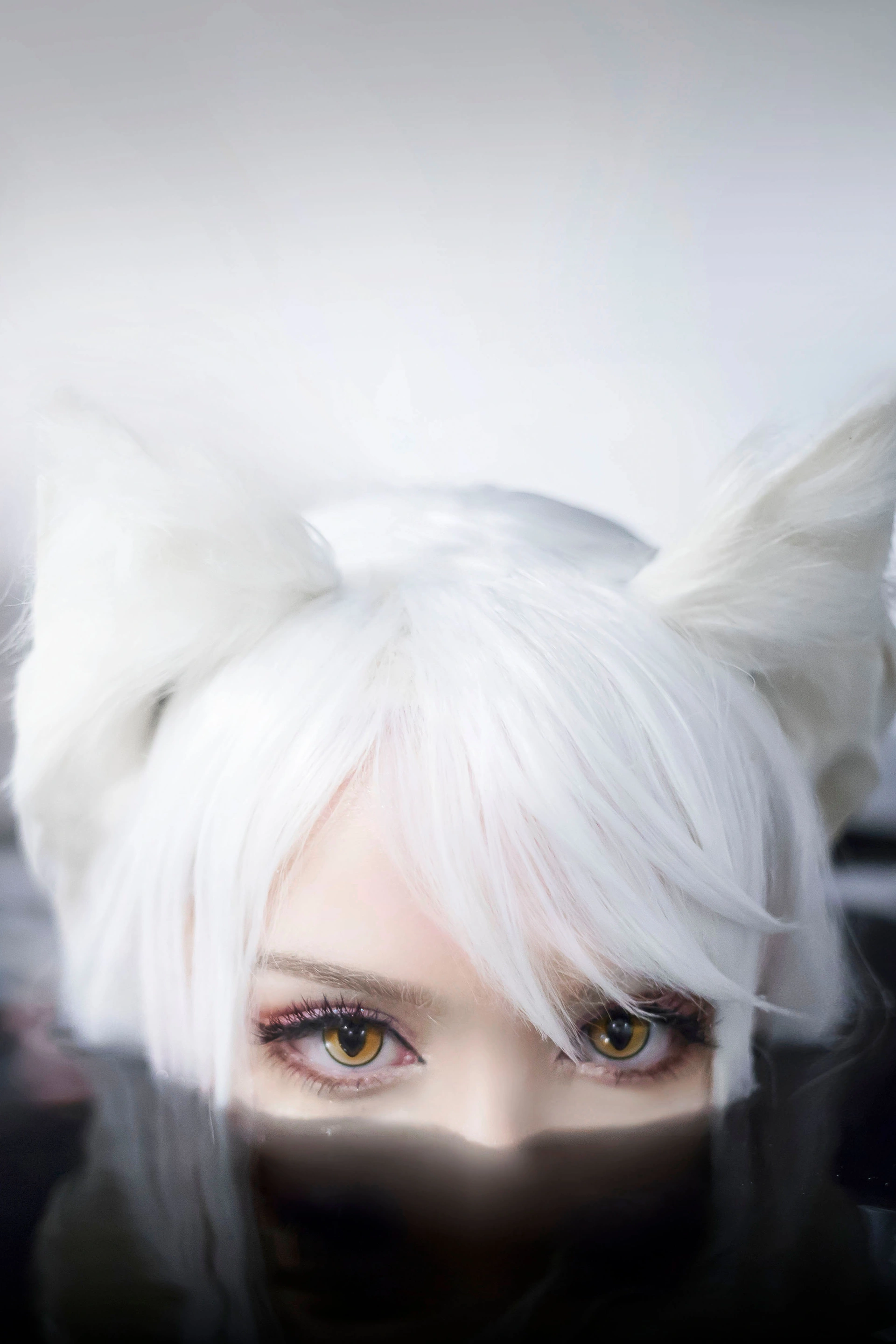 Sayathefox - NO.04 -白毛狐狸 1